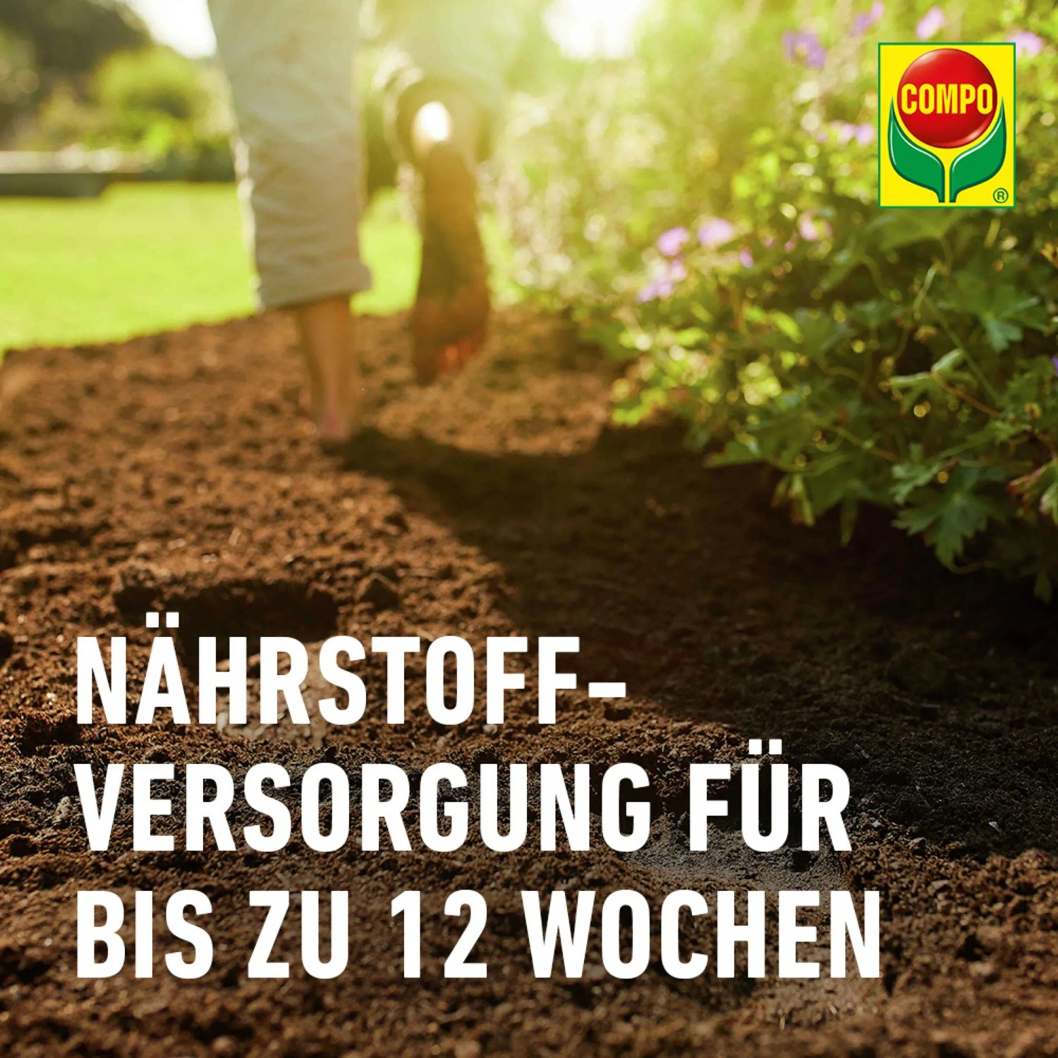 Compo Sana Qualitäts-Blumenerde 1 x 5 l_5