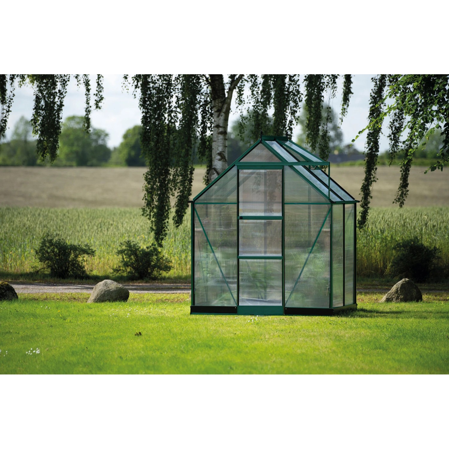 Halls Gewächshaus Icon 6 Grün 2,5 m² günstig online kaufen