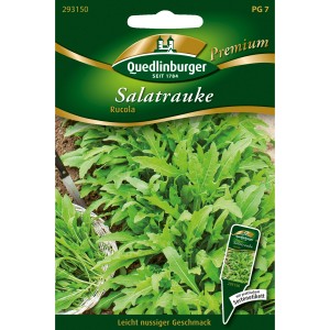Samentüte Quedlinburger Salatrauke: Saatgut für aromatischen, schnellwachsenden Rucola.