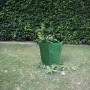 Grüner Gartenabfallsack (265 l) aus Polypropylen, gefüllt mit Gartenabfällen auf einer Rasenfläche.