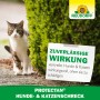 Neudorff Hunde- und Katzen-Schreck: Katze steht neben Hinweisschild mit Produktinformationen.