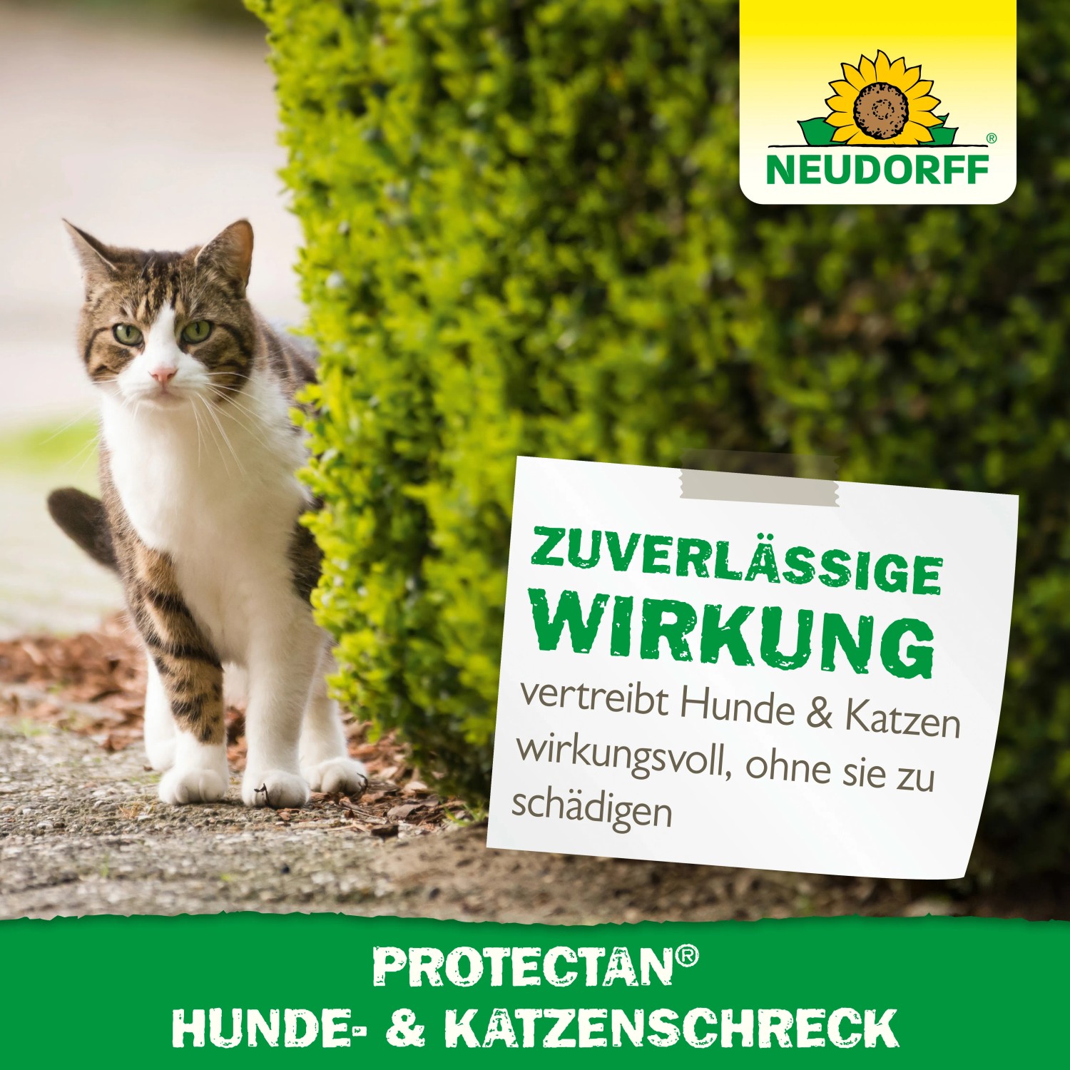Neudorff Hunde- und Katzen-Schreck: Katze steht neben Hinweisschild mit Produktinformationen.