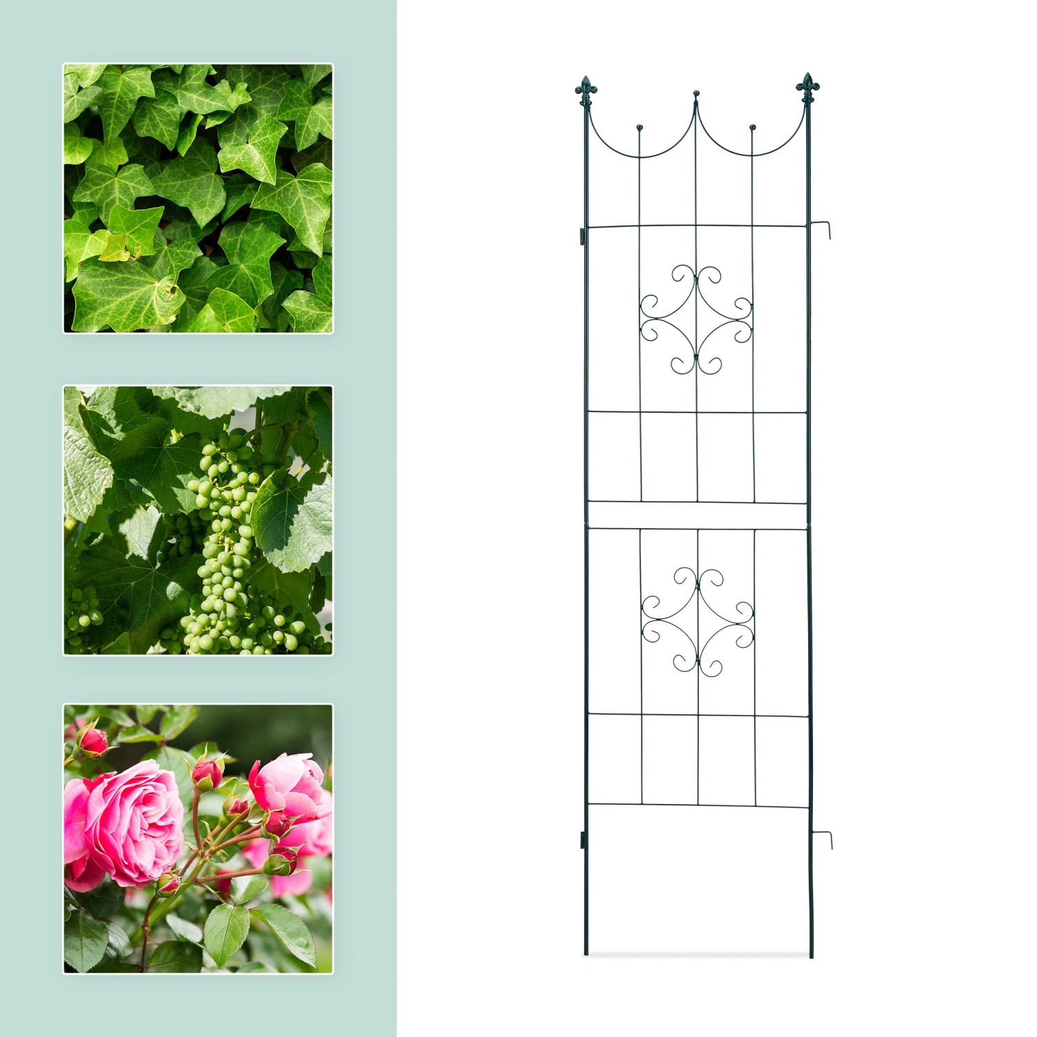 Dunkelgrünes Rankgitter aus Eisen mit geschwungenen Ornamenten für Kletterpflanzen. Wetterfeste Rankhilfe für Garten und Rosen.