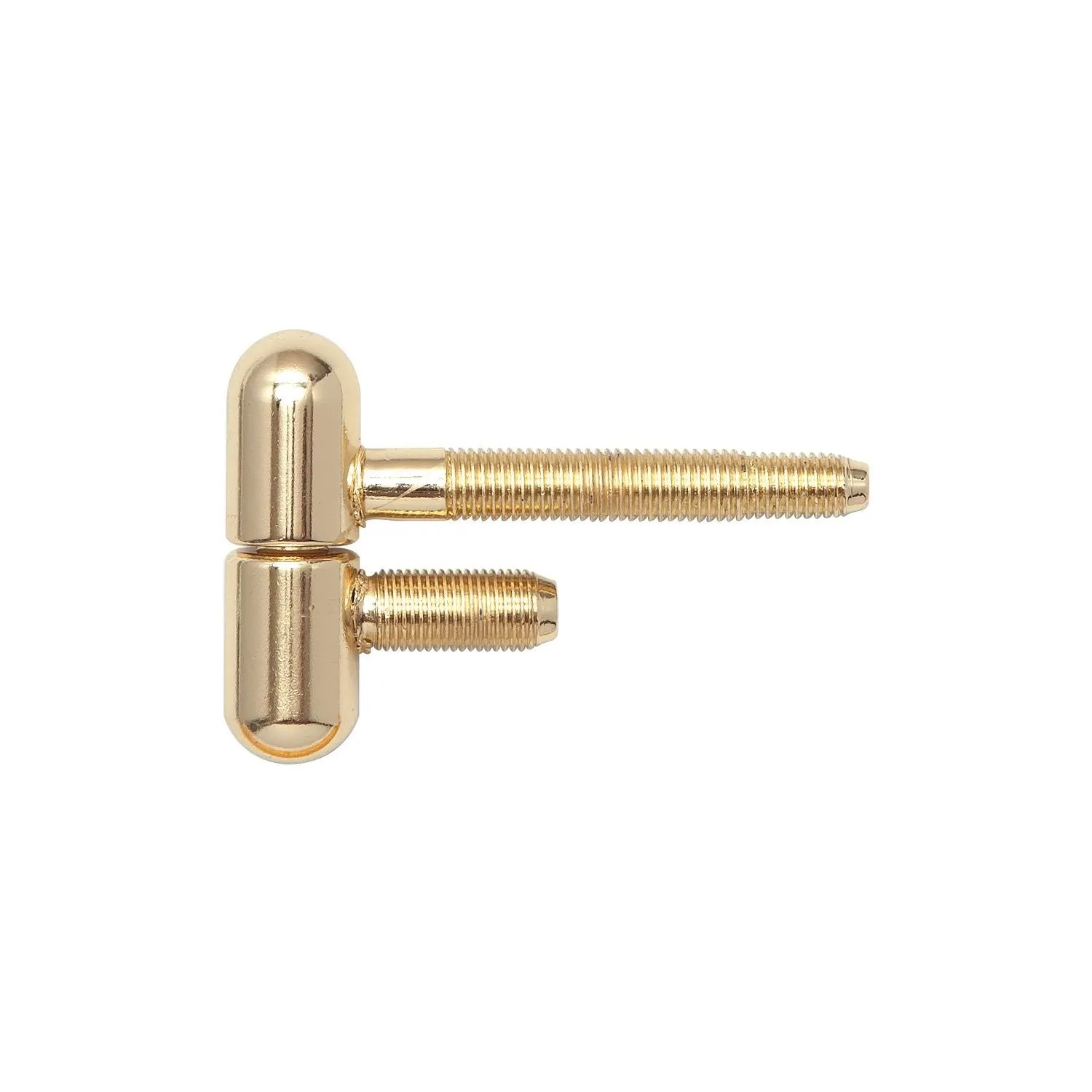 Sfs Stahlzargenband 2-teilig ø 16 mm Höhe 50,5 mm Rundkopf Glanzvermessingt