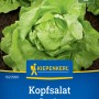 Kiepenkerl Kopfsalat Dynamite: Frischer, grüner Salat mit robusten Blättern im Beet.