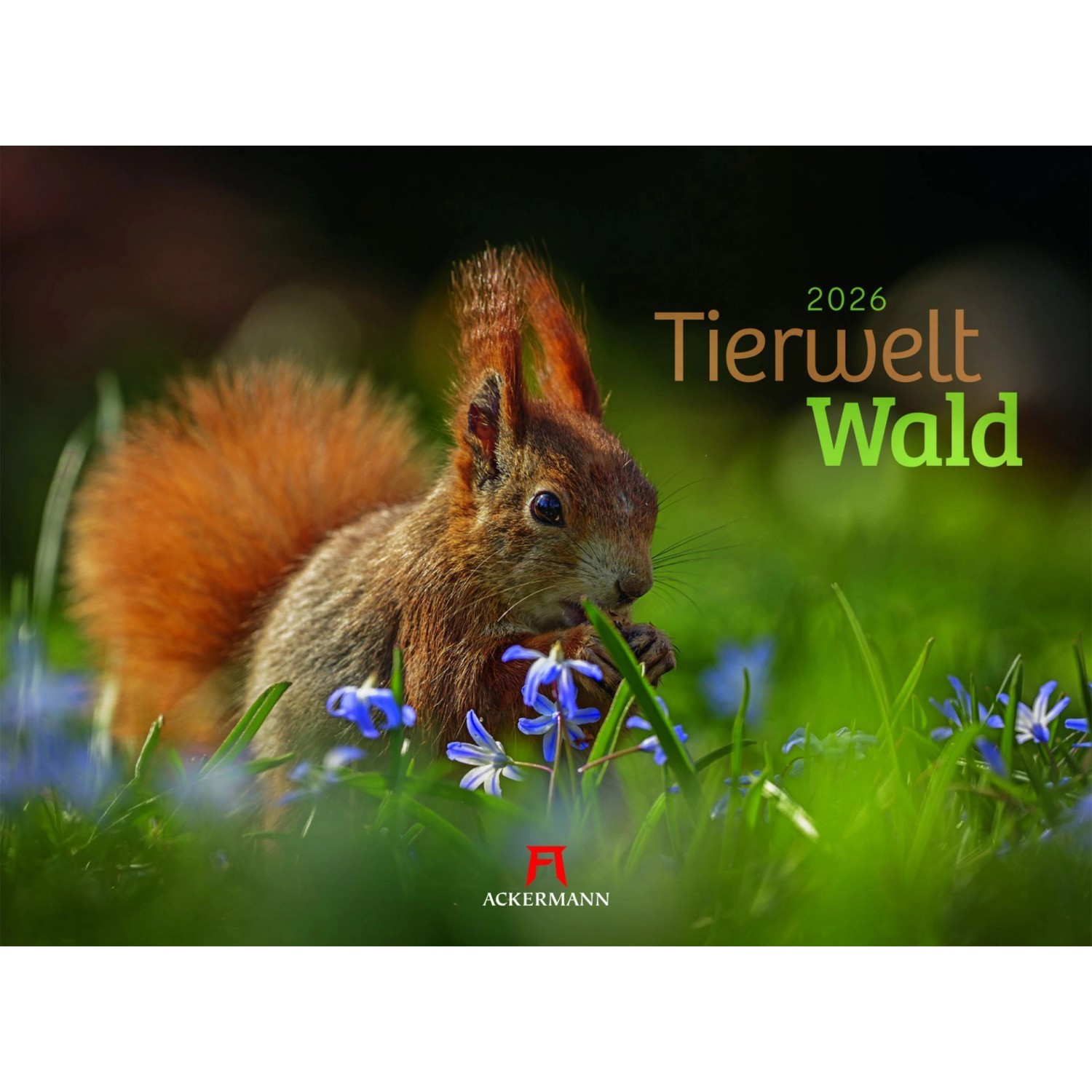 Tierwelt Wald Kalender 2026 günstig online kaufen