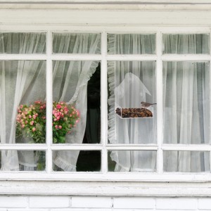 Relaxdays Fenstervogelfutterhäuser 4er Set Kunststoff Transparent mit Saugnäpfen 15 cm x 15 cm x 7 cm
