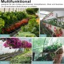 WOLTU Gewächshaus: Collage mit Gemüse, Obst, Blumen und Kräutern im weißen Foliengewächshaus.