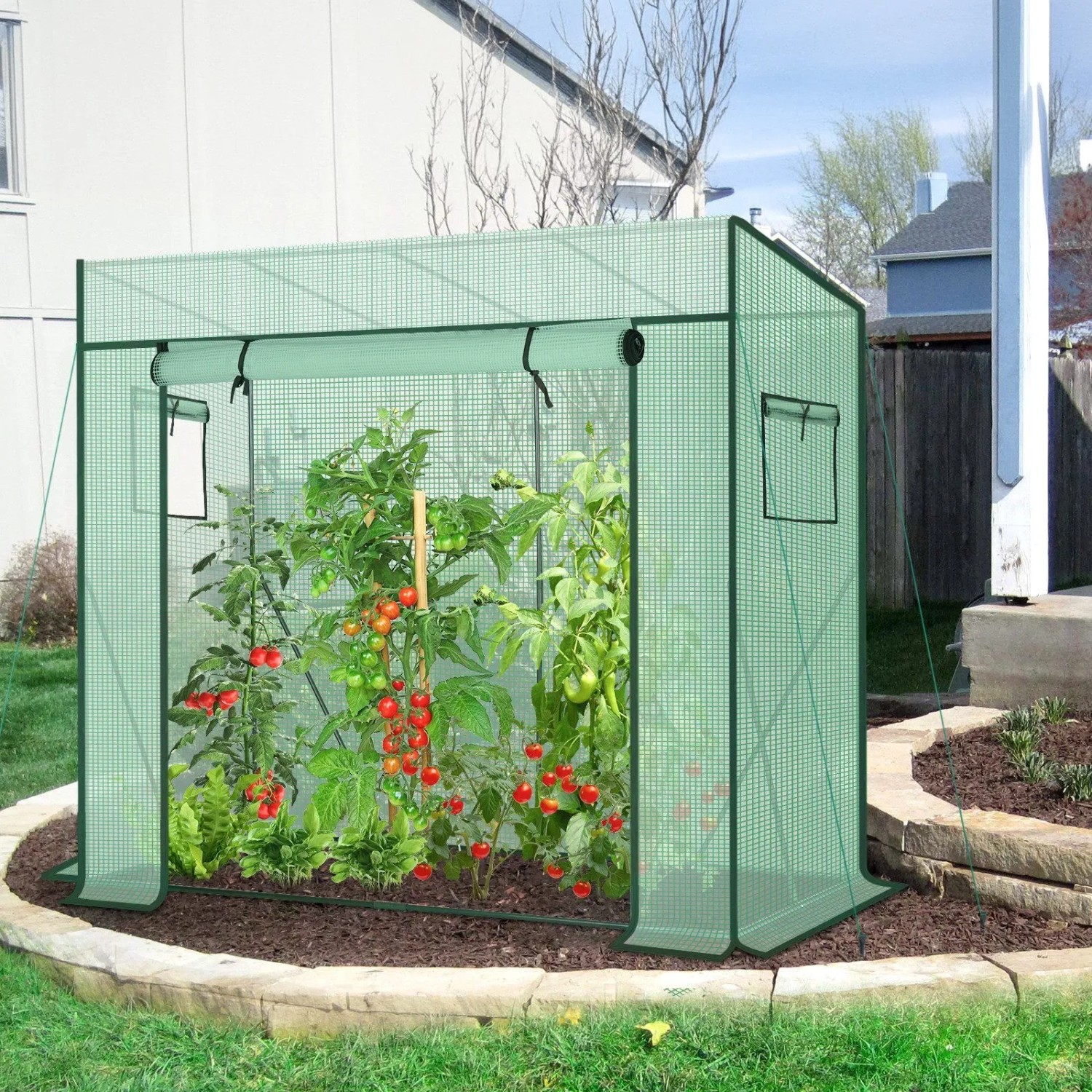 Grünes begehbares Foliengewächshaus mit Schrägdach, Rolltür und Tomatenpflanzen. Wetterfestes Tomatenhaus für Garten.