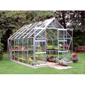 Halls Magnum 128 Gewächshaus aus Alu mit Pflanzen und Fundamentrahmen.