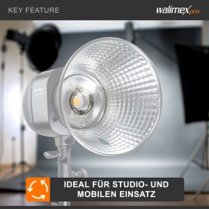 Walimex Pro Ersatzblitzröhre für Studioblitz Newcomer 300/VT-300. Helle Blitzröhre mit Reflektor für professionelle Fotografie.