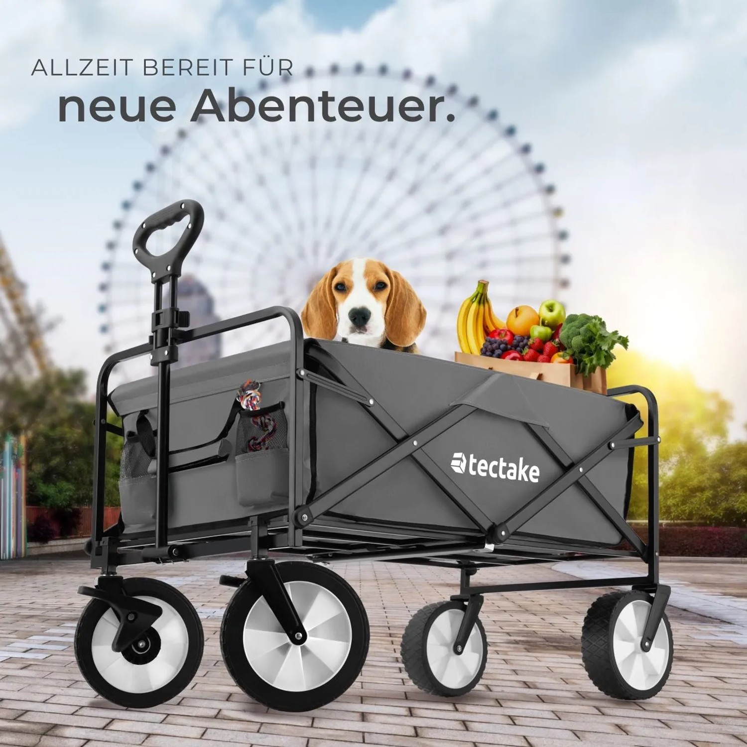 Tectake Bollerwagen Leon Faltbar Mit Bremsen und Gummierten Kunststoffrädern  91 x 53 50 x 101 cm Grau_9