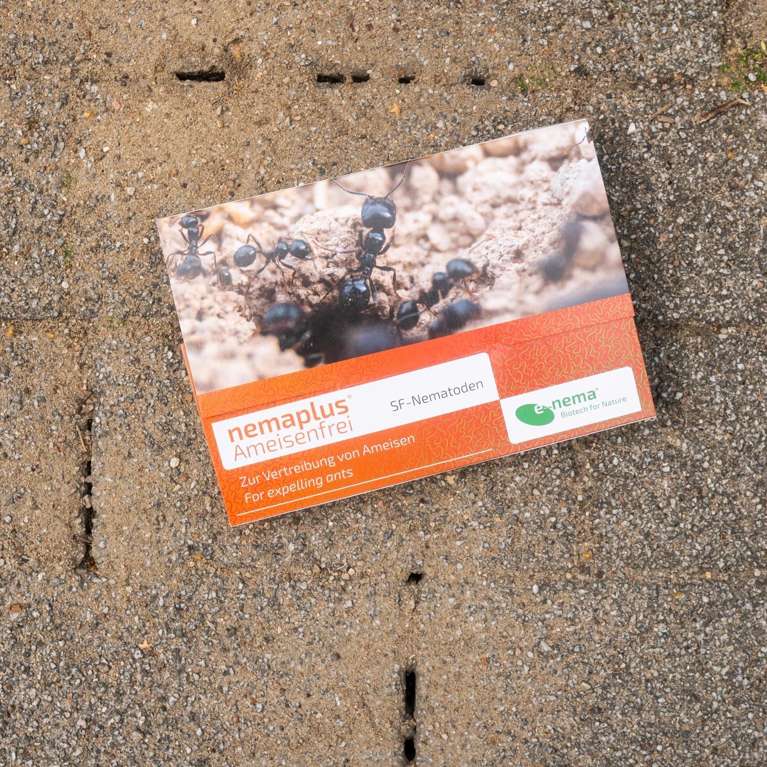 e-nema Nematoden gegen Ameisen, Packung auf Steinboden. Schädlingsbekämpfung für Garten und Terrasse.
