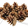 Trockenfloristik: Tannenzapfen am Draht, Natur, 5 Stück, ideal zum Basteln und Dekorieren.