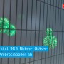 Anthrazitfarbenes tesa Insect Stop Fliegengitter mit Pollenschutz am Fenster.