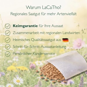 LaCaTho Esparsette Samen in Papiertüte vor Blumenwiese. Vorteile: Keimgarantie, regionales Qualitätssaatgut, Aussaatanleitung.
