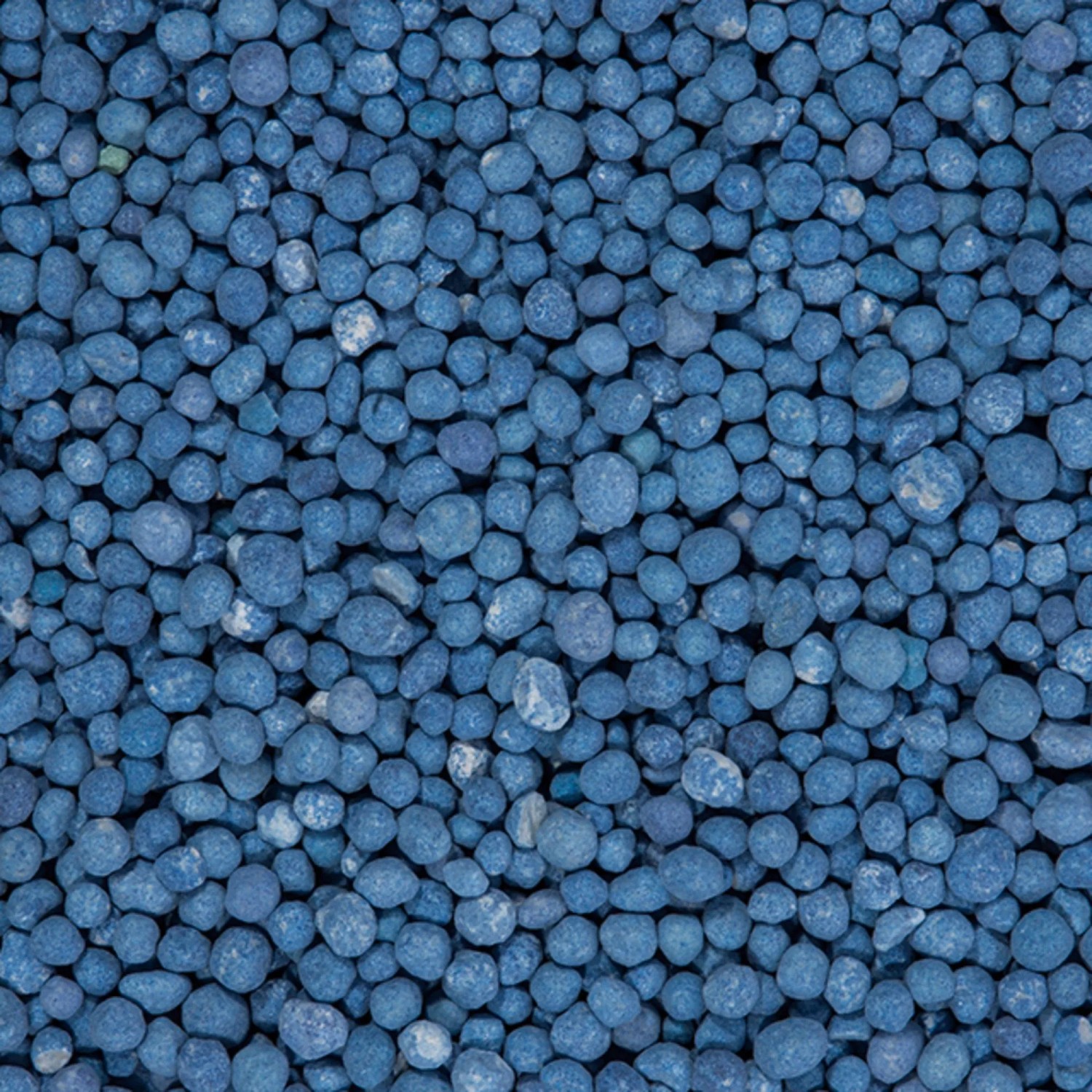 Nahaufnahme von COMPO Blaukorn NovaTec Dünger, blaue Düngerkügelchen.