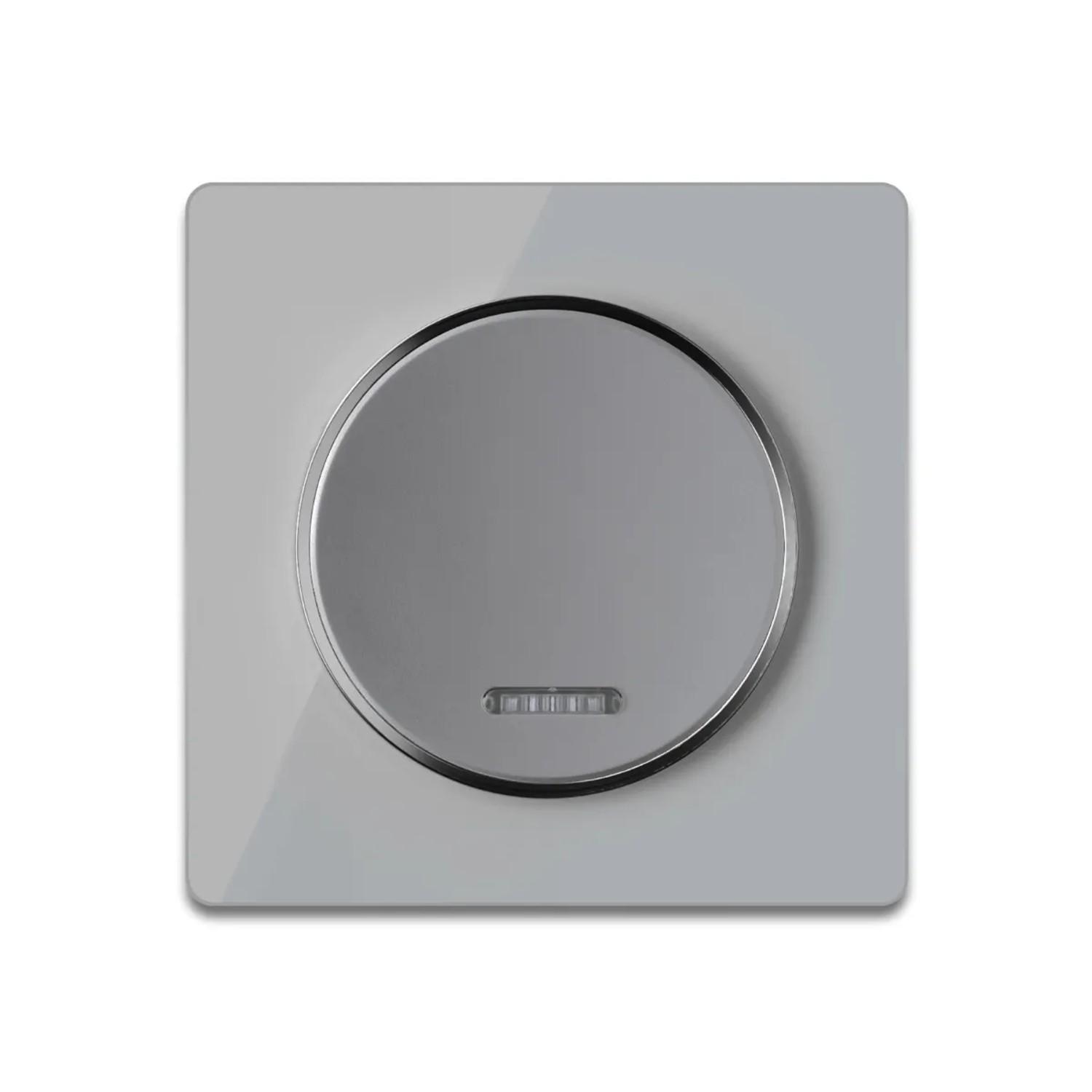 OneKeyElectro Kontrollschalter 1fach mit Glas Abdeckrahmen in Grau