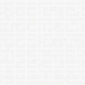 Weiße, überstreichbare WOW Vliestapete (10 m x 1,04 m) mit feiner Struktur.