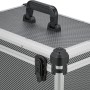 LUX Aluminium Werkzeugkoffer: Robuster Aufbewahrungskoffer mit Tragegriff und Schlössern.