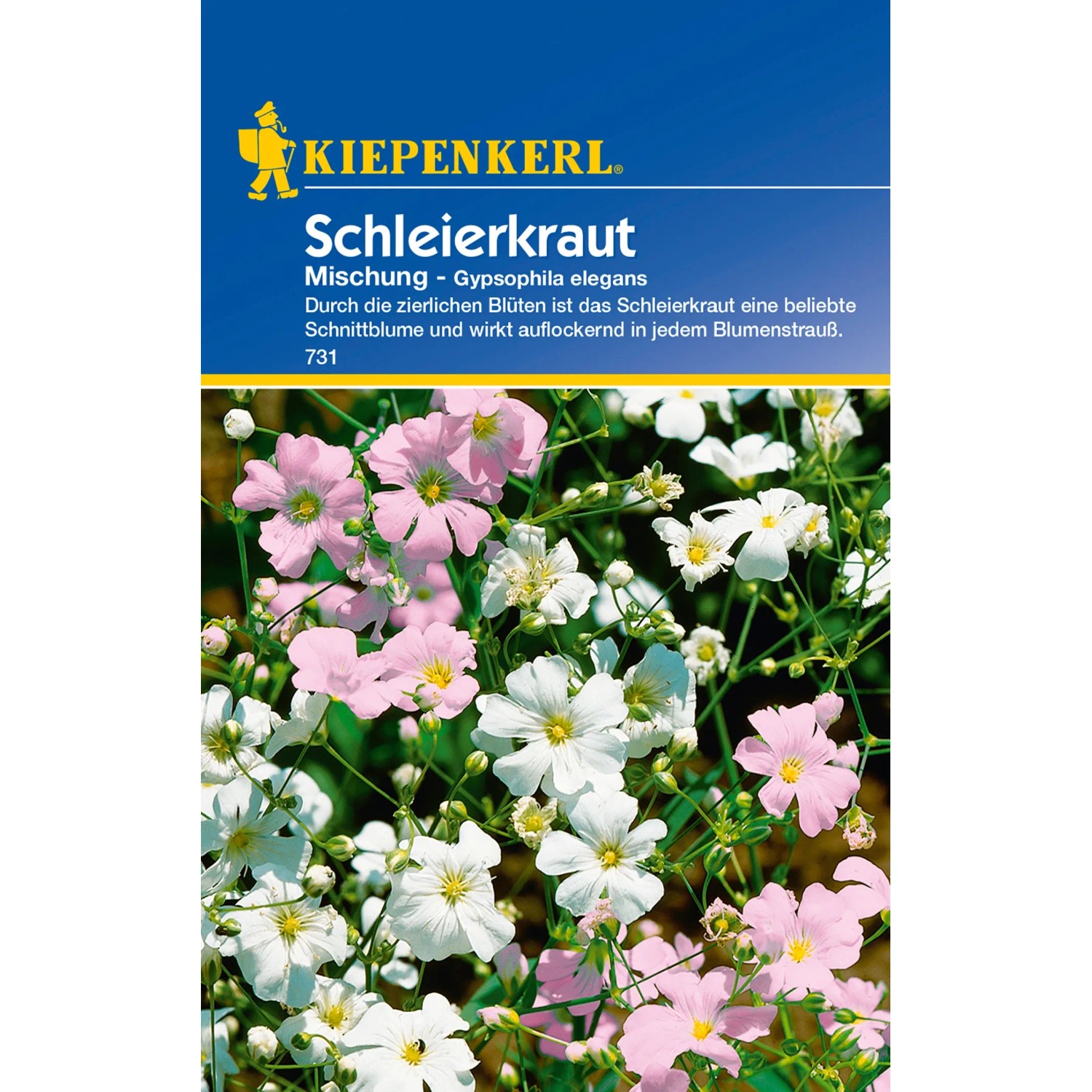 Kiepenkerl Schleierkraut Samen Mischung Mehrfarbig kaufen bei OBI