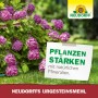 Neudorff Urgesteins-Mehl: Pinke Hortensien im Garten, Notiz 'Pflanzen stärken mit natürlichen Mineralien'. Bodenhilfsstoff.