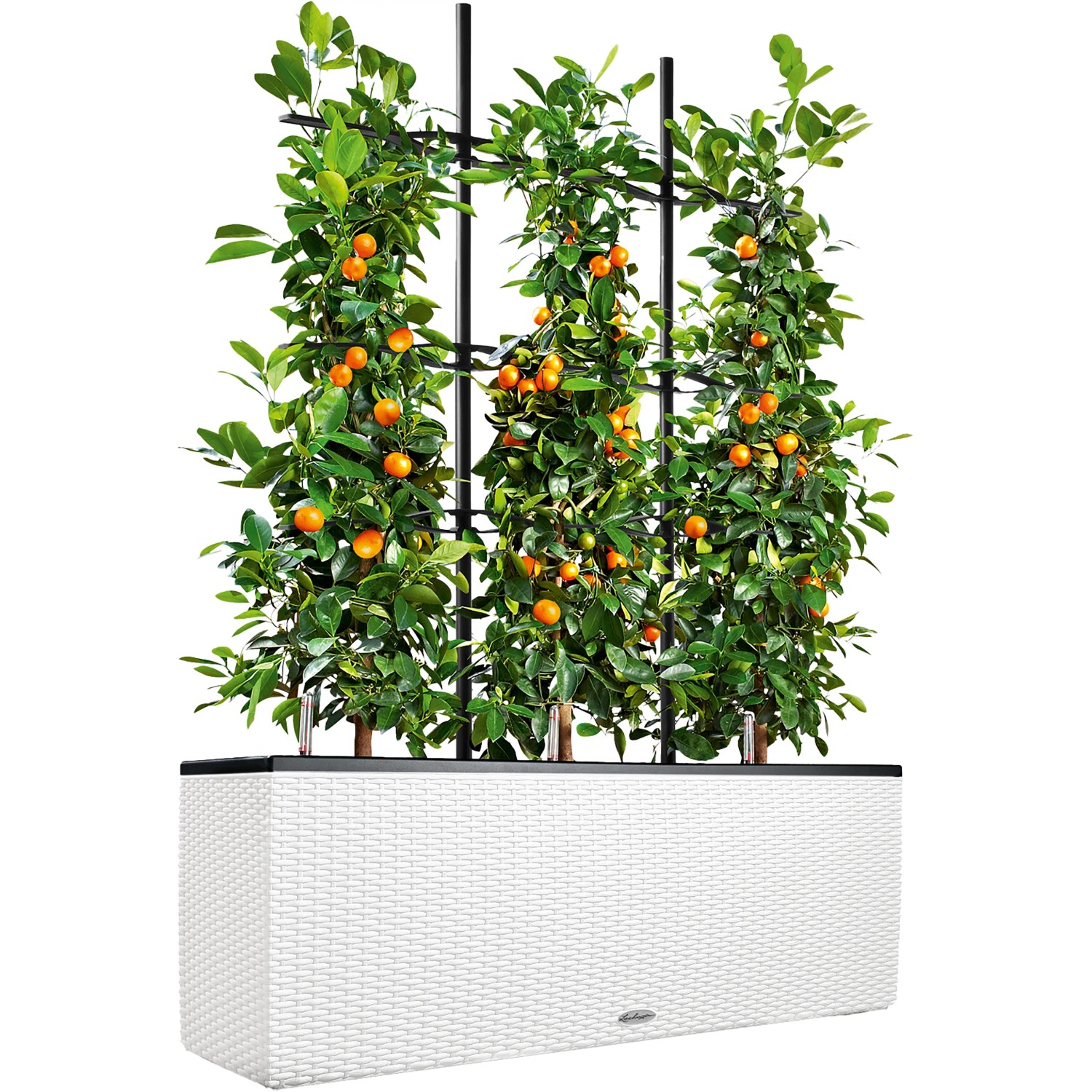 Lechuza Pflanzgefäß-Set Weiß – 40x40x76 Cm Mit Cleverem Bewässerungssystem Für Garten & Balkon