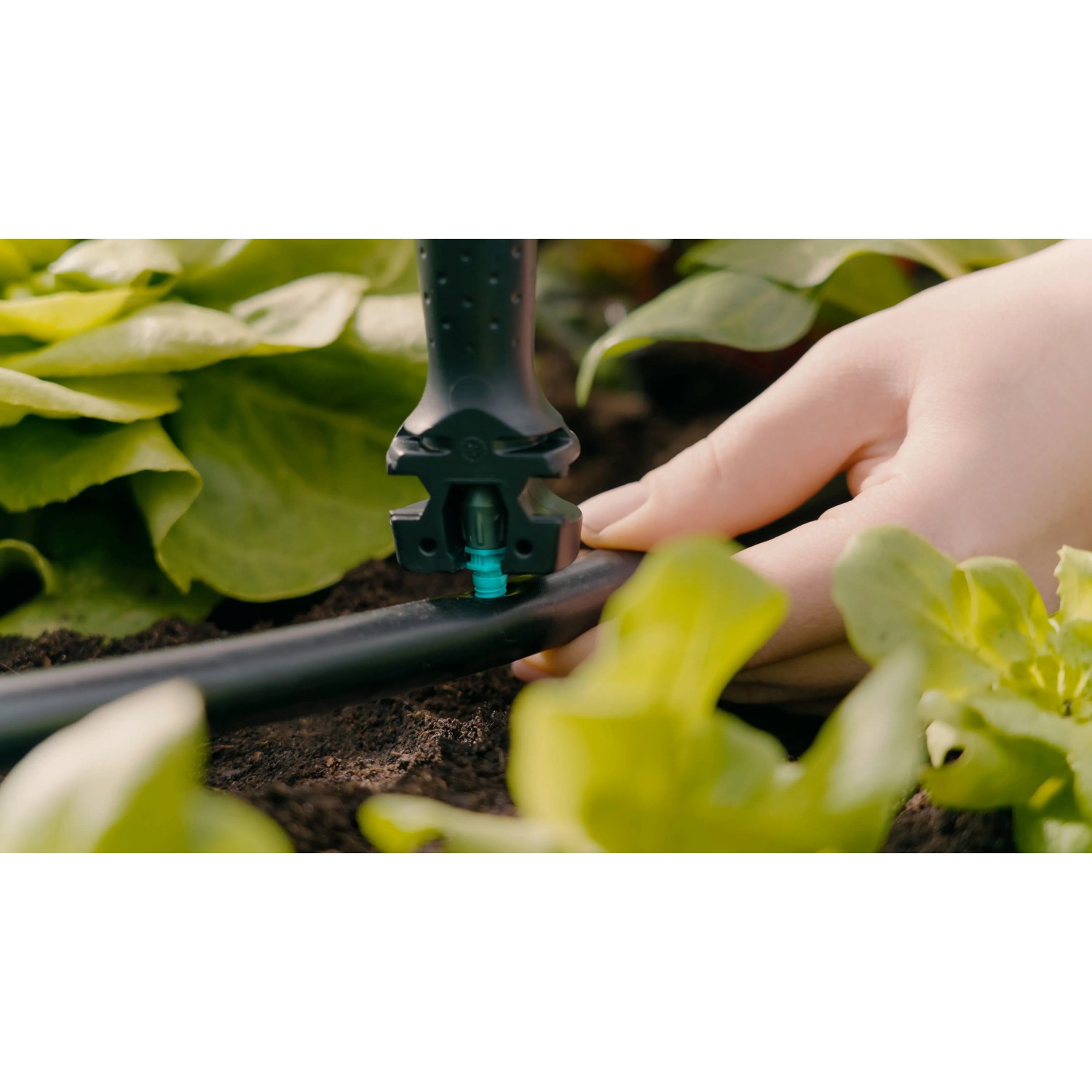 Gardena Micro-Drip: Werkzeug zum Installieren des Tropfbewässerungssystems im Gemüsebeet.