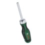 Bosch Bit-Ratschenschraubendreher mit 12 Bits, grüner Griff, silberner Schaft. Schraubendreher für Heimwerker.
