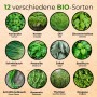 Seedhero BIO Kräutersamen Set mit 12 Sorten: Koriander, Kresse, Dill, Zitronenmelisse, Schnittlauch, Petersilie, Salbei, Basilikum, Schnittknoblauch, Rosmarin, Thymian, Oregano.