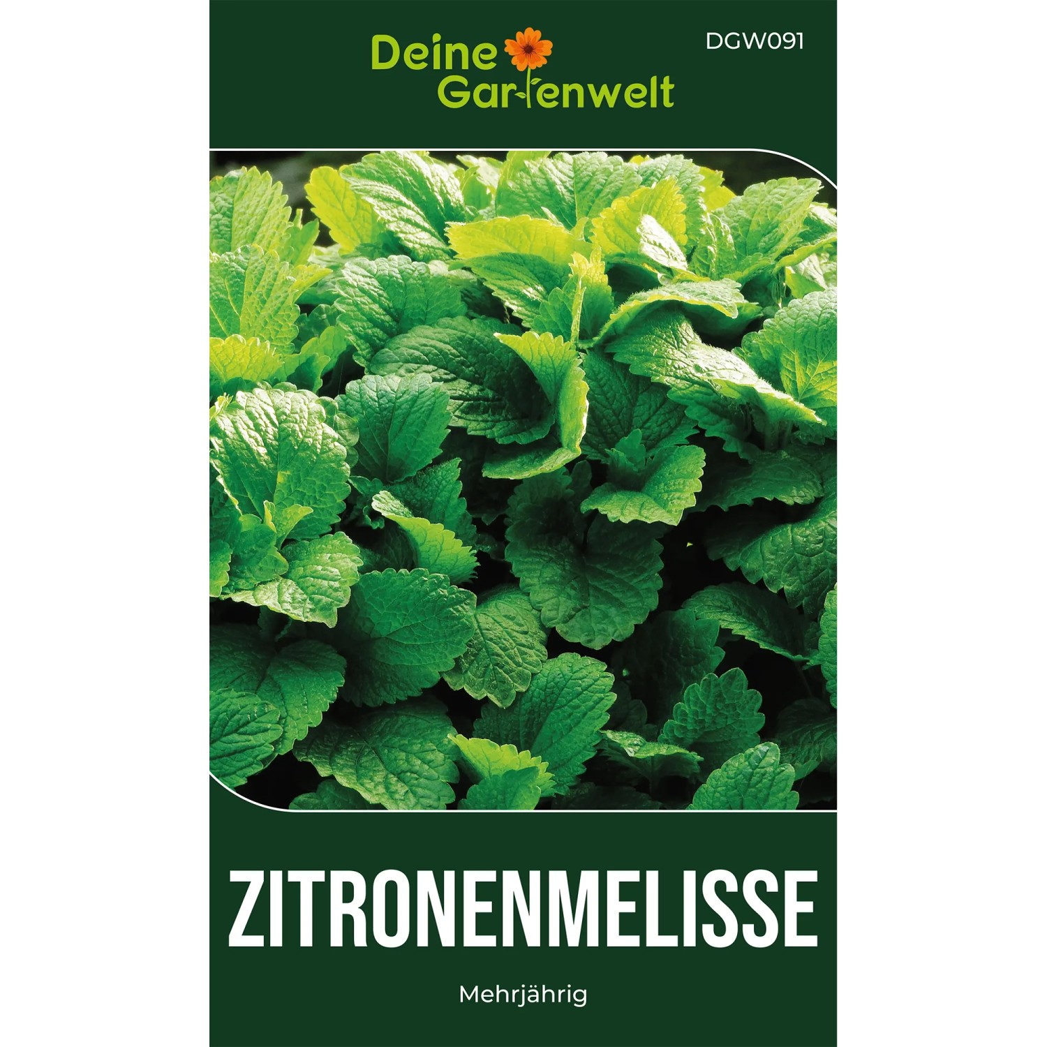 Deine Gartenwelt Zitronenmelisse Samen