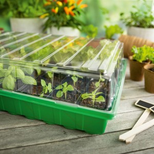 Zimmer-Gewächshaus inklusive 36 Anzuchttöpfen