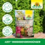 Neudorff Azet Rhododendron-Dünger 1kg: Organischer Dünger für kräftiges Wachstum und prächtige Blüten.