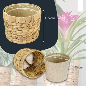 HMF 37280-19CM Innovativer Blumentopf Wasserhyazinthe Pflanztopf Rund 19 cm Durchmesser