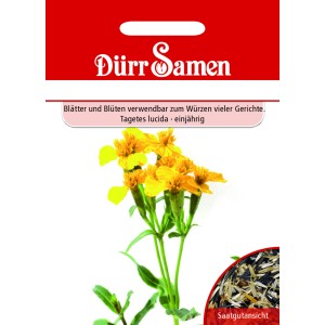 Dürr Samen Würz-Tagetes: Saatgut für gelbe, essbare Blüten. Blumensamen für sonnige Standorte.