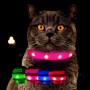 Katze trägt pinkes Leuchthalsband mit weißen Punkten. Sorgt für Sichtbarkeit und Sicherheit bei Nacht.