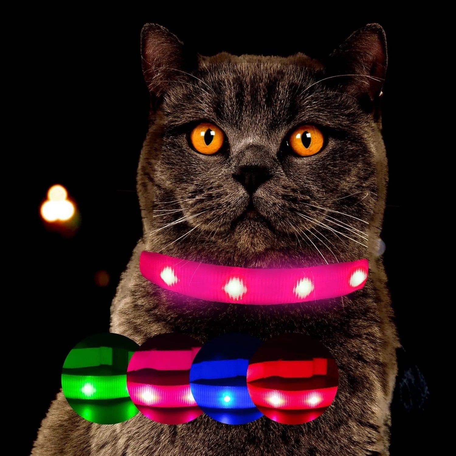 Katze trägt pinkes Leuchthalsband mit weißen Punkten. Sorgt für Sichtbarkeit und Sicherheit bei Nacht.