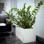 Weißer Vivanno Pflanzkübel Maxi (80x40x40 cm) mit Pflanze im Innenraum.