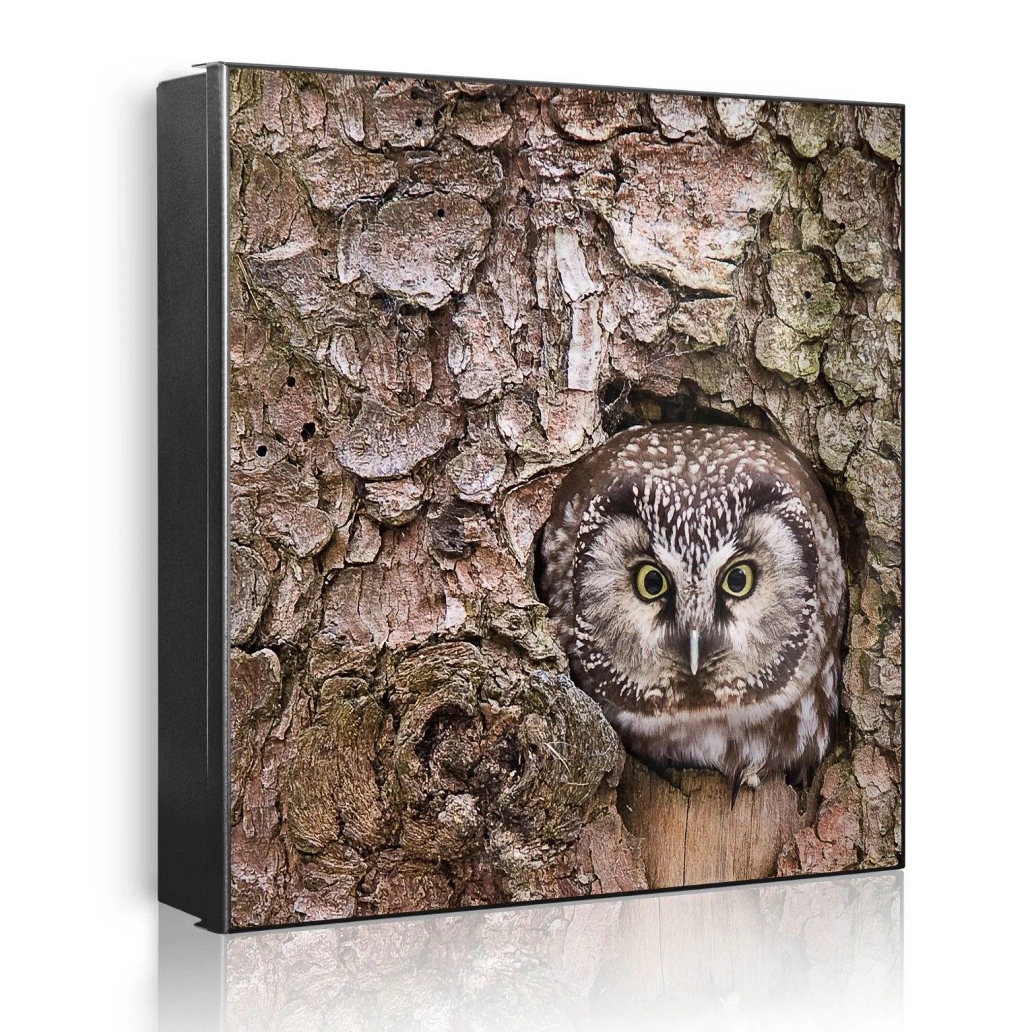 Banjado Großer Schlüsselkasten Metall 30x30cm Schwarz Scharnier Links 50 Haken Beschreibbar Magnetisch Motiv Eule