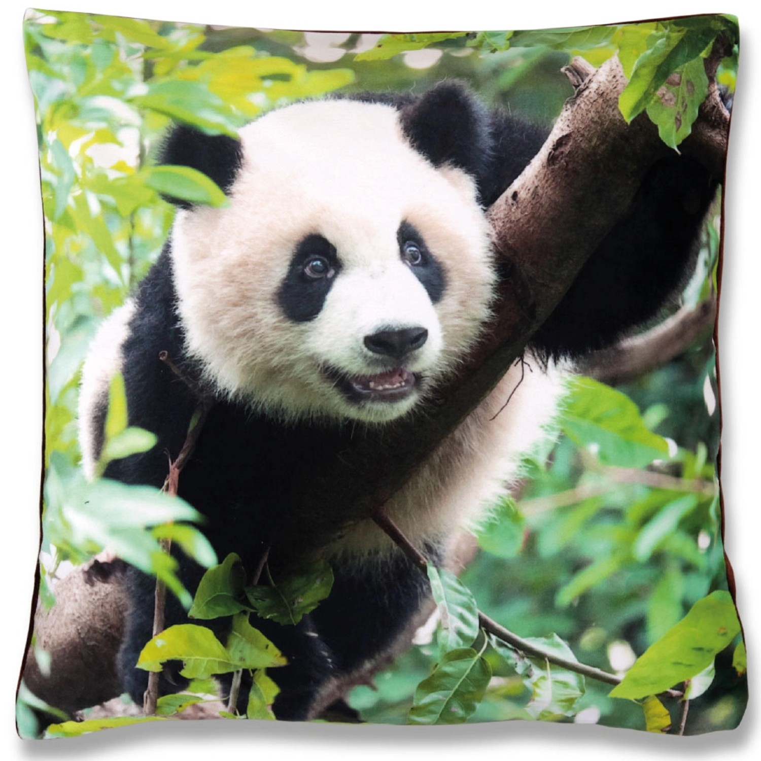 Bestlivings Kissenhülle Fotodruck 40 x 40 cm Panda mit Füllung