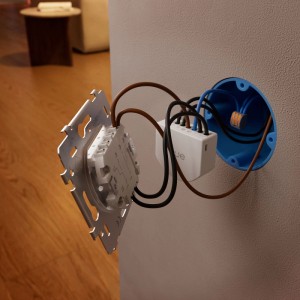 Philips Hue Wandschaltermodul 2C für Standard-Lampen Netzbetrieb