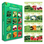 Deine Gartenwelt Gemüse Samen-Set mit 12 Sorten, Ansicht der Verpackung und der einzelnen Samentüten.