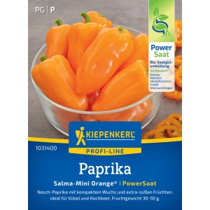 Kiepenkerl Paprika Salma-Mini Orange: Orange Mini-Paprika in einer Glasschale.