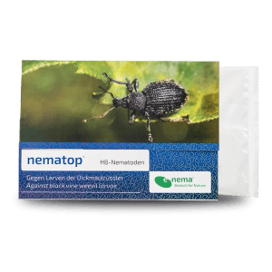 e-nema Nematoden gegen Dickmaulrüssler, biologische Schädlingsbekämpfung für den Garten.