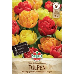 Sperli Blumenzwiebeln: Gefüllte, frühe Tulpen in Gelb, Rot und Orange.