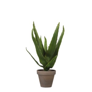 Grüne Aloe Vera Kunstpflanze im Topf Stan, 30cm hoch. Dekorative Zimmerpflanze für OBI.