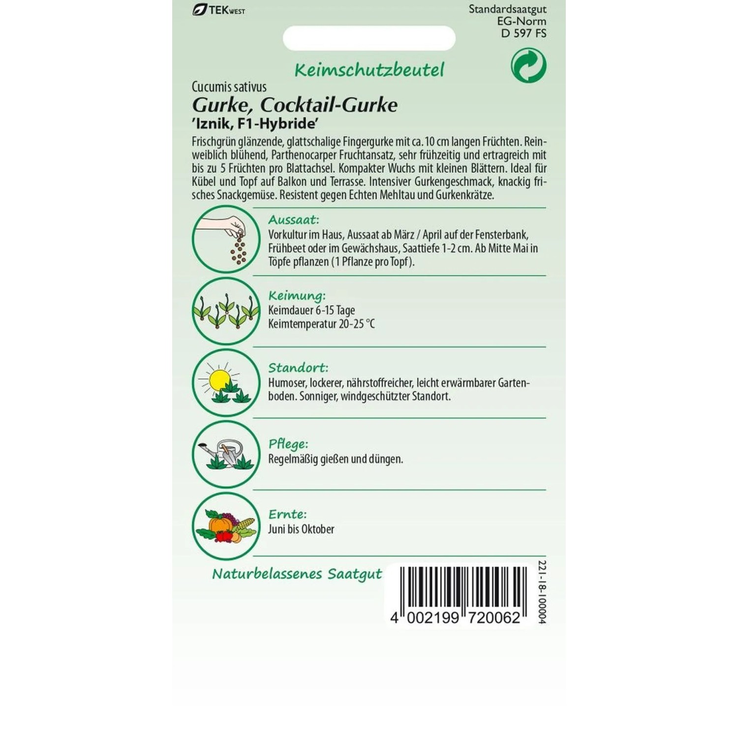 SAMEN PFANN Cocktail-Gurke Iznik F1 Rocky_2