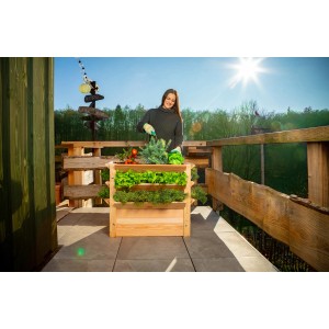 Westmann Hochbeet Premium XL aus Lärchenholz mit Bepflanzung auf einer Terrasse.