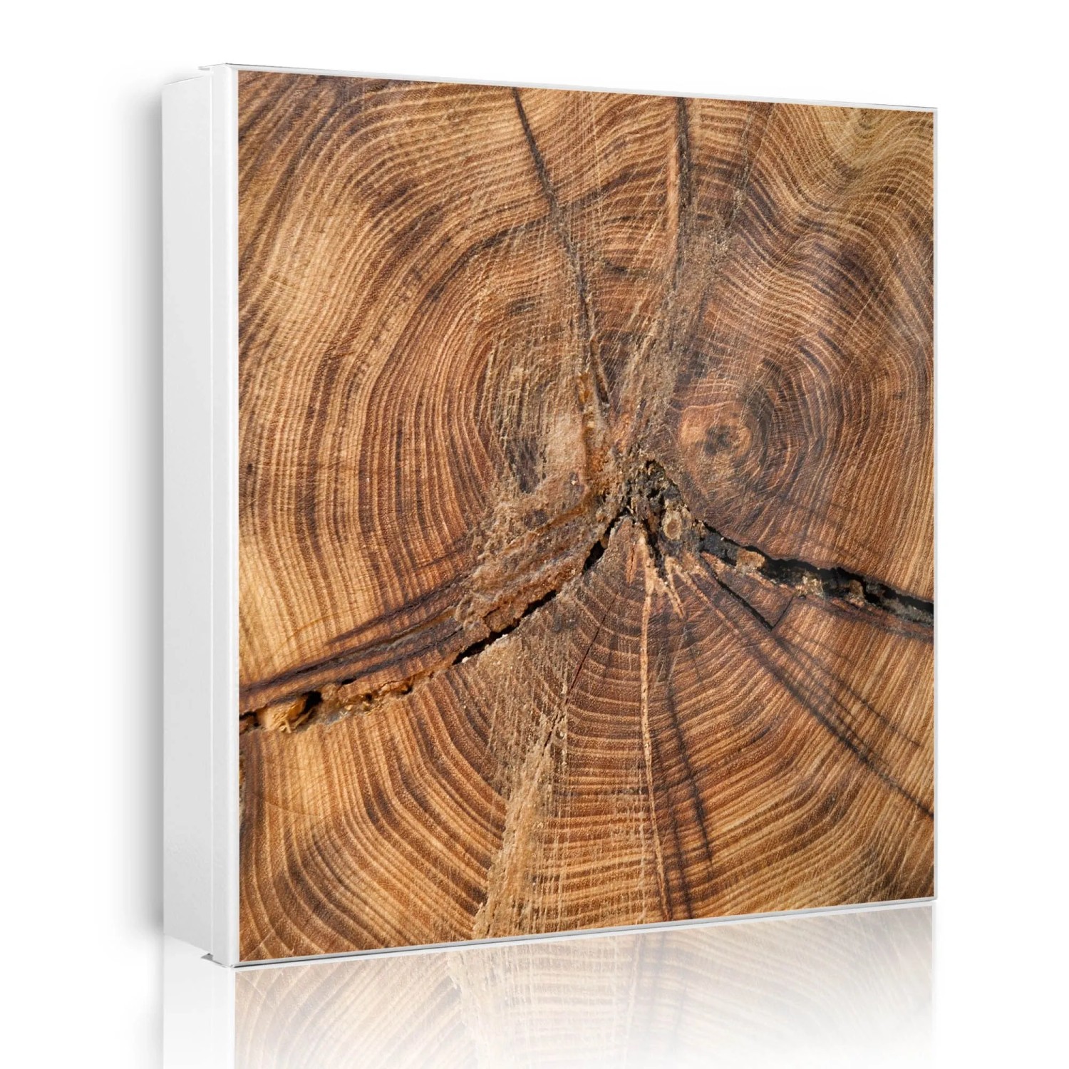 Banjado Großer Schlüsselkasten Metall 30x30cm Weiß Scharnier Links 50 Haken Beschreibbar Magnetisch Motiv Jahresringe