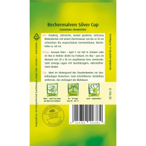 Samentüte Quedlinburger Bechermalve 'Silver Cup' mit rosa-gestreiften Blüten.